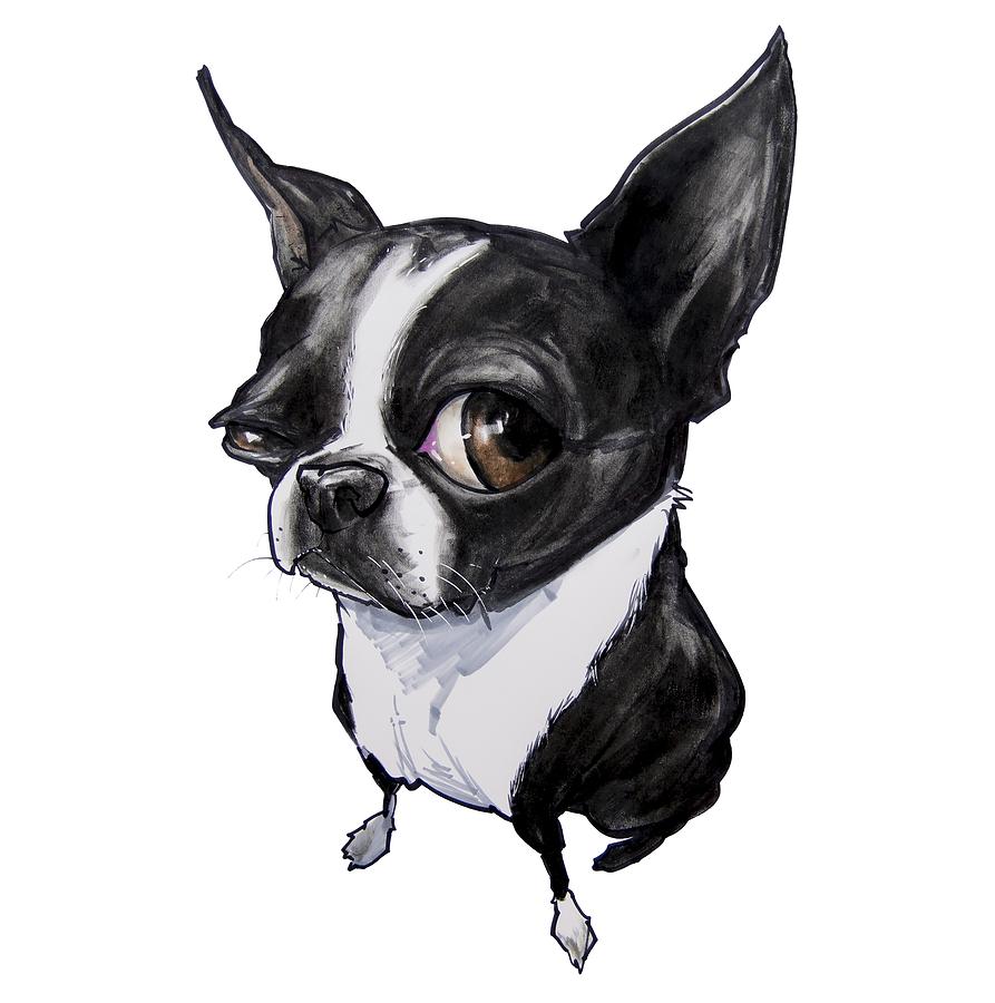 893x900 Boston Terrier Drawing - Boston Terrier Drawing