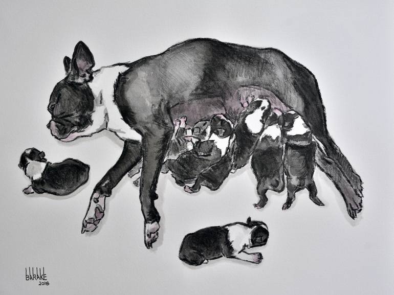 770x577 boston terrier maternity, charcoal ink drawing - Boston Terrier Drawing