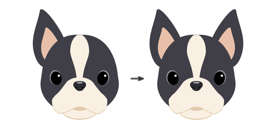 850x424 How To Create A Boston Terrier Illustration In Adobe Illustrator - Boston Terrier Drawing