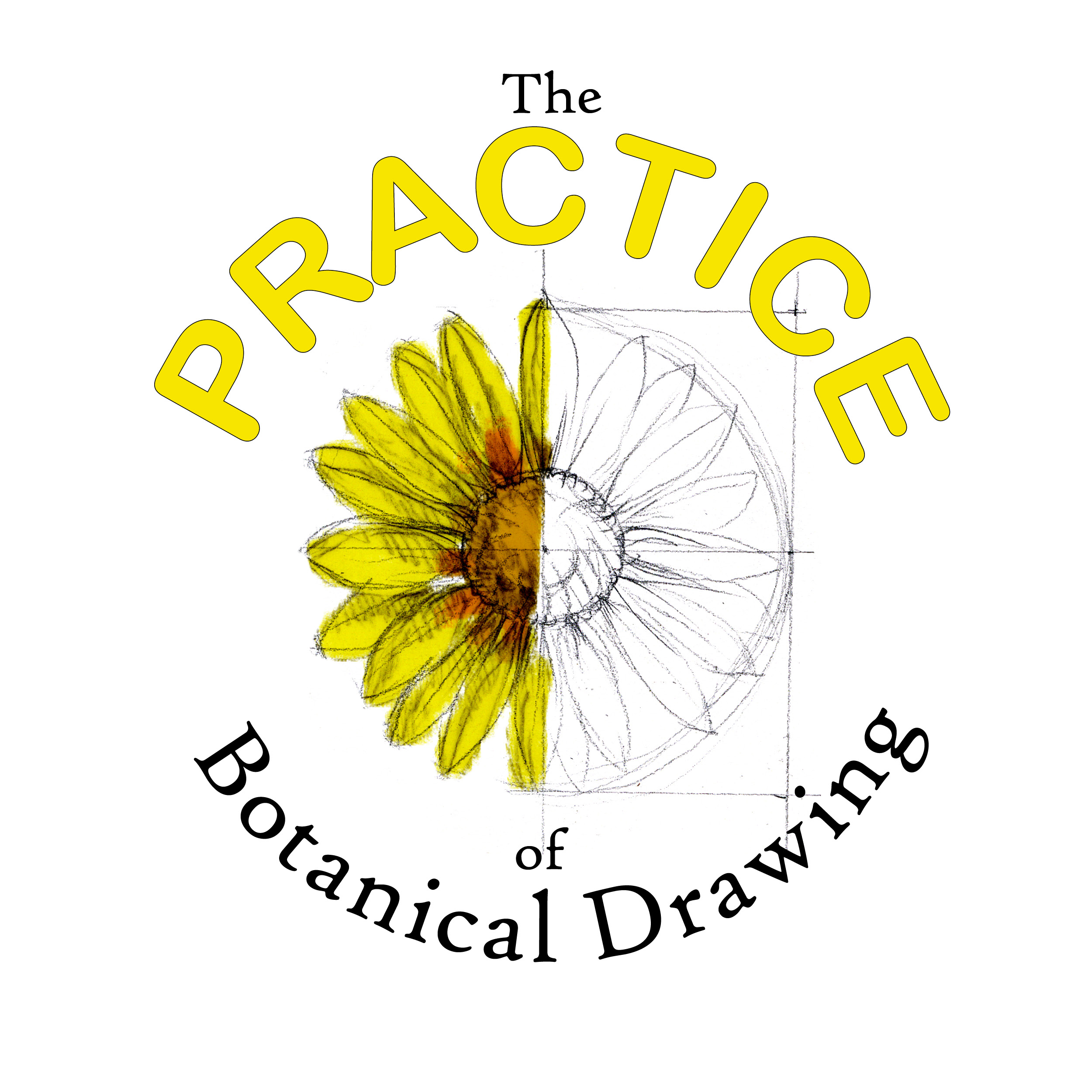 2500x2500 The Practice Of Botanical Drawing Complete Course - Botanical Drawings