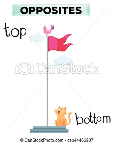 377x470 Opposite Word For Top And Bottom Illustration - Bottom Drawing