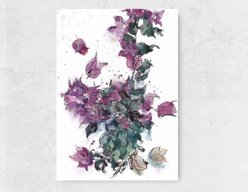 Bougainvillea Drawing