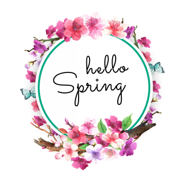 360x360 Bougainvillea Drawing Watercolor Transparent Png Clipart Free - Bougainvillea Drawing