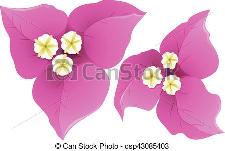 450x302 Collection Of Free Bougainvillaea Clipart Black And White - Bougainvillea Drawing