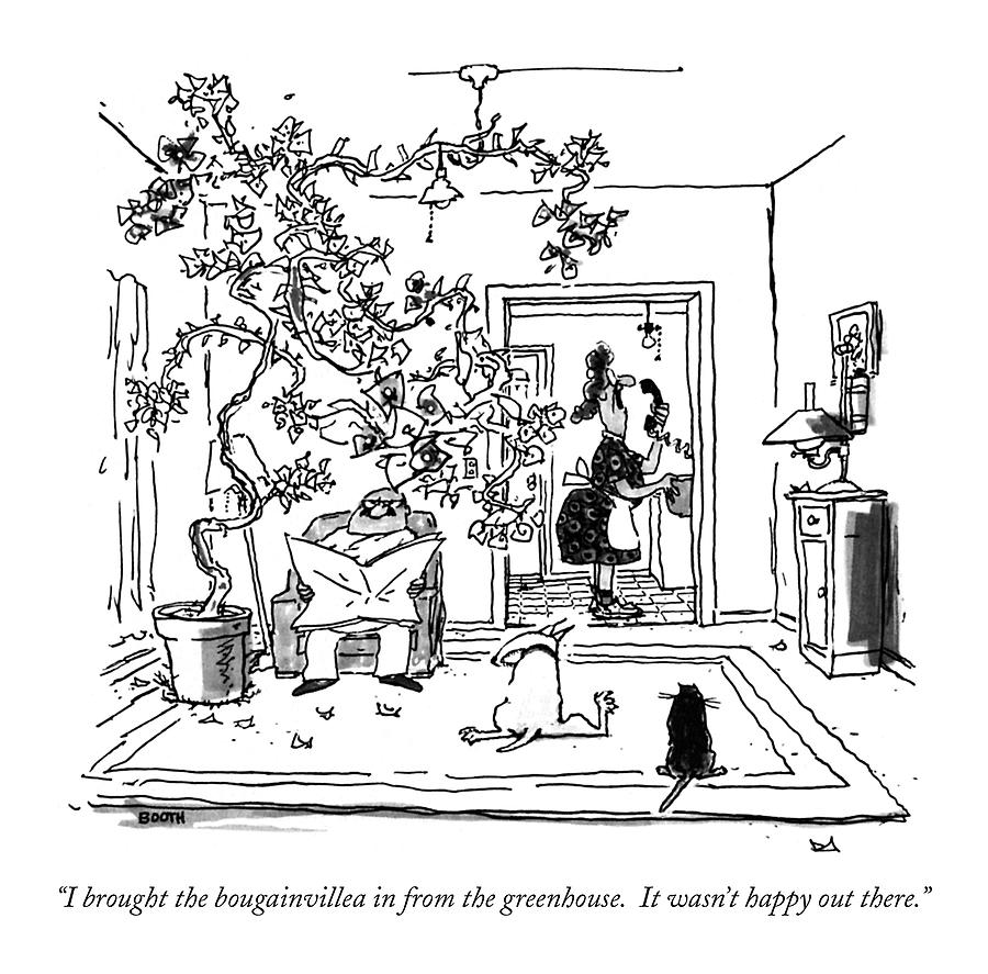 900x887 i brought the bougainvillea drawing - Bougainvillea Drawing