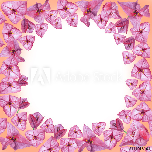 500x500 Watercolor Drawing Of Spring Flowers Bougainvillea Hand Drawn - Bougainvillea Drawing