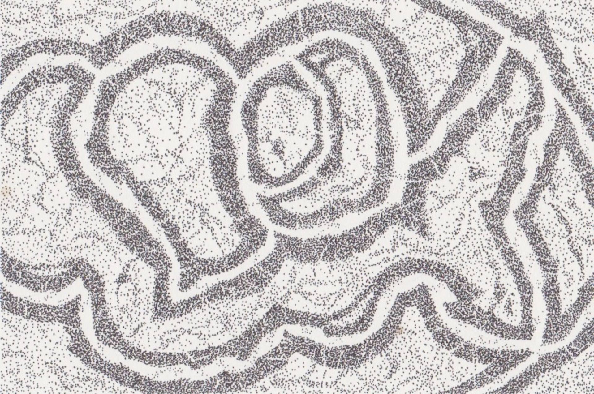 1920x1274 Infinity River - Boulder Drawing