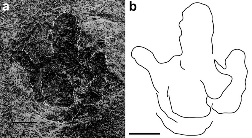 850x465 Boulder A Photograph Of The Footprint B - Boulder Drawing