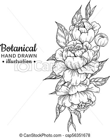 374x470 Vintage Flower Bouquet Vector Drawing Peony, Rose, Leaves - Bouquet Drawing