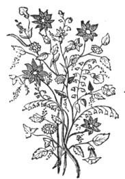 183x262 Floral Bouquet Drawing - Bouquet Flowers Drawing