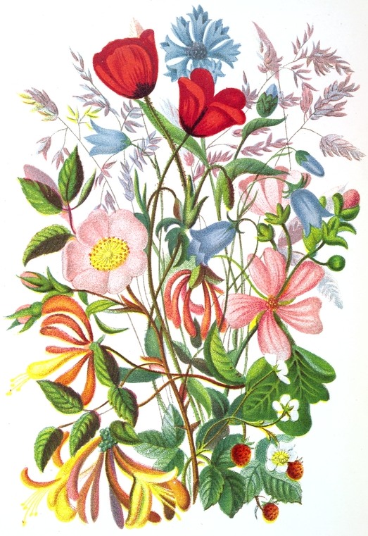 523x761 Huge Collection Of 'bouquet Drawing' Download More Than Images - Bouquet Flowers Drawing