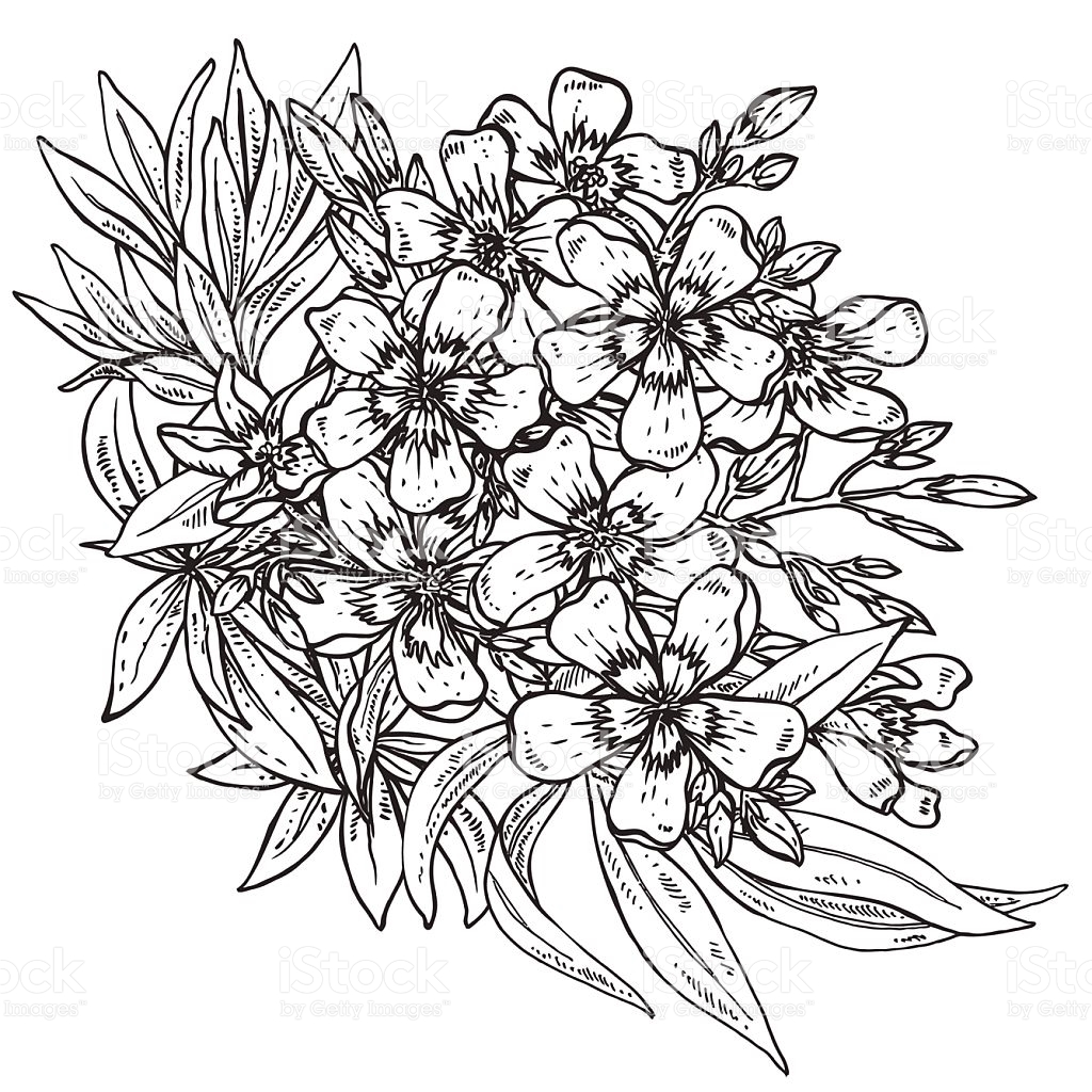 Bouquet Of Flowers Line Drawing At Explore