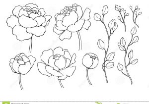 300x210 flower line drawing line drawing flower illustration floral - Bouquet Of Flowers Line Drawing