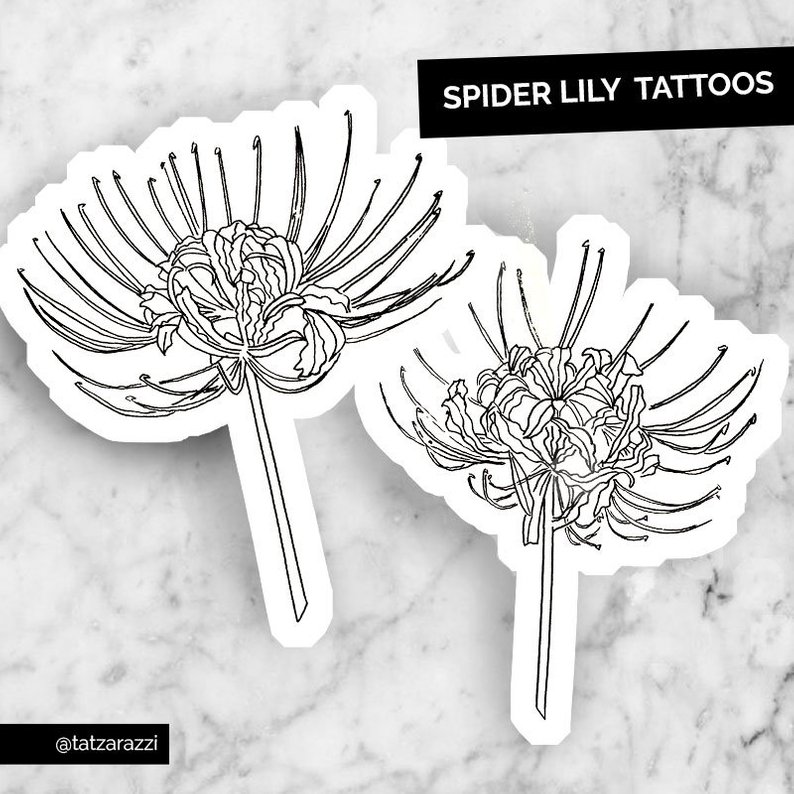 794x794 Spider Lily Temporary Tattoo Flowers Floral Bouquet Nature Etsy - Bouquet Of Flowers Line Drawing