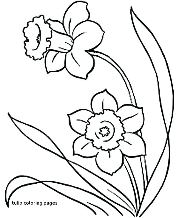 600x733 Tulip Coloring Pages Related Post Bouquet Awesome Flower Color - Bouquet Of Flowers Line Drawing