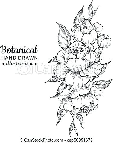 374x470 Vintage Flower Drawings Bouquet Vector Drawing Peony Rose Leaves - Bouquet Of Flowers Line Drawing