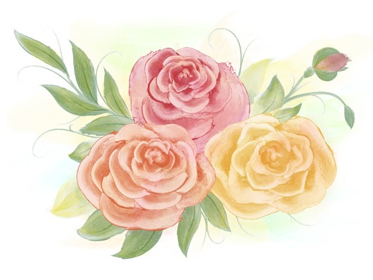 530x398 Vector - Bouquet Of Roses Drawing