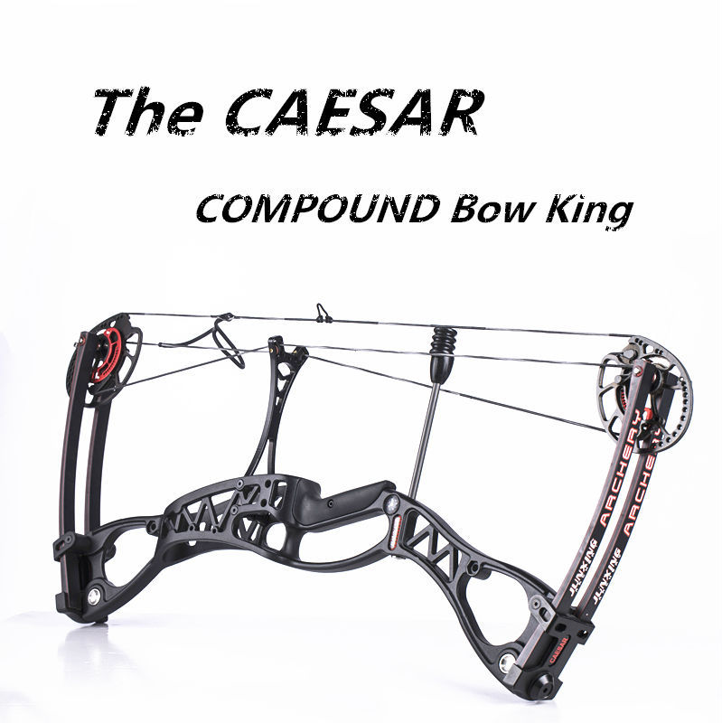 799x800 compound bow draw weight magnesium hunting archery bow - Bow Hunting Drawings