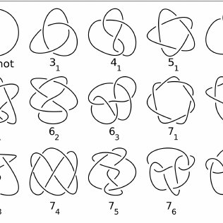 316x316 Drawing Various Knots - Bow Line Drawing