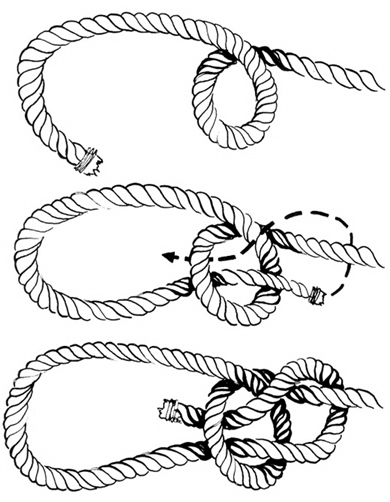 390x502 Needful Provision, Inc - Bow Line Drawing