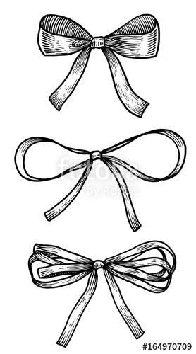 278x500 Bow, Ribbon Illustration, Drawing, Engraving, Ink, Line Art - Bow Line Drawing