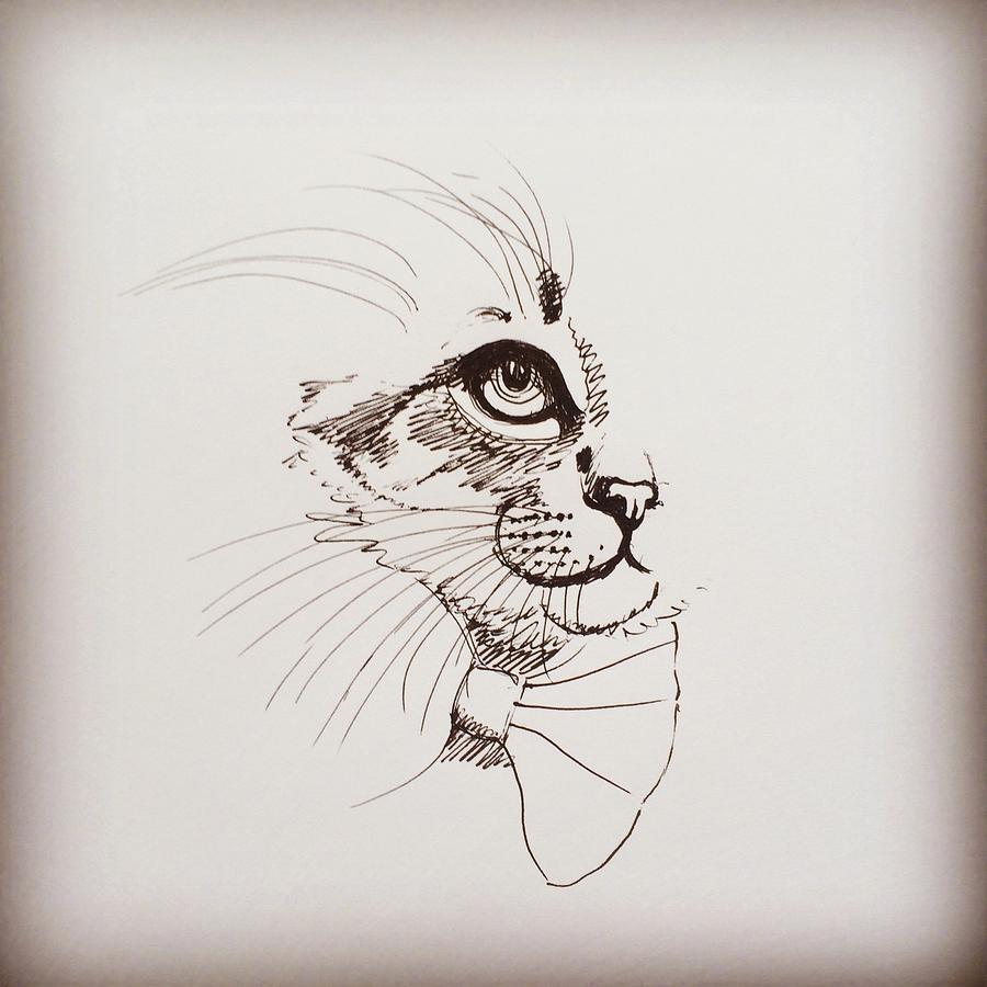900x900 Cat Wearing A Bow Tie Drawing - Bow Tie Drawing