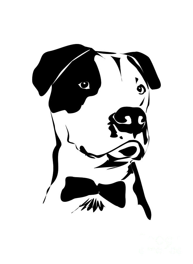 659x900 Cute Pit Bull Drawing In Black And White With A Bow Tie Digital Art - Bow Tie Drawing