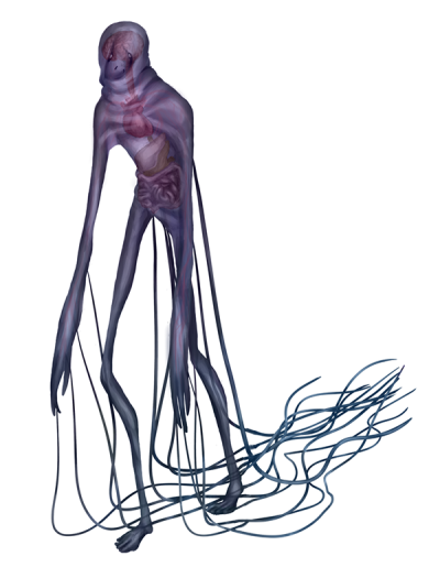 400x515 Download Free Png Box Jellyfish Png - Box Jellyfish Drawing