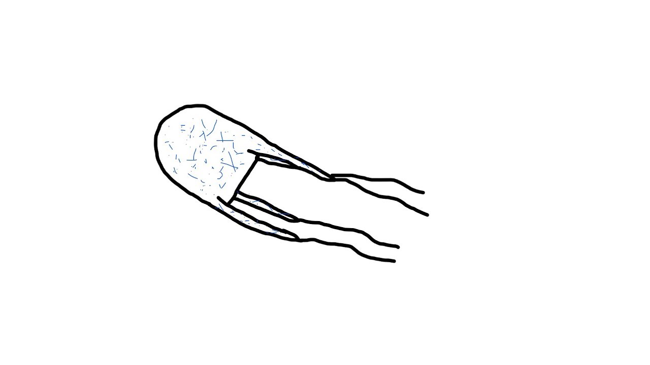 1280x720 Drawing A Box Jellyfish - Box Jellyfish Drawing