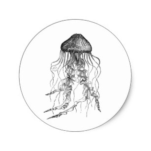307x307 Jellyfish Drawing Crafts Party Supplies Zazzle Ca - Box Jellyfish Drawing