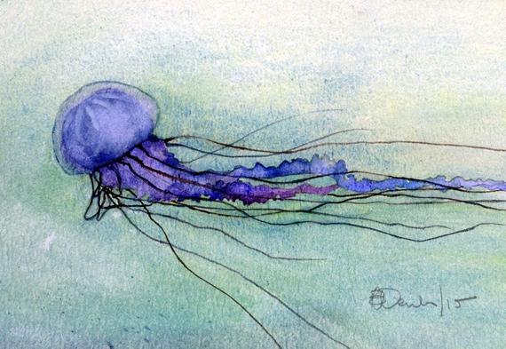570x393 Art Card Box Jellyfish Etsy - Box Jellyfish Drawing