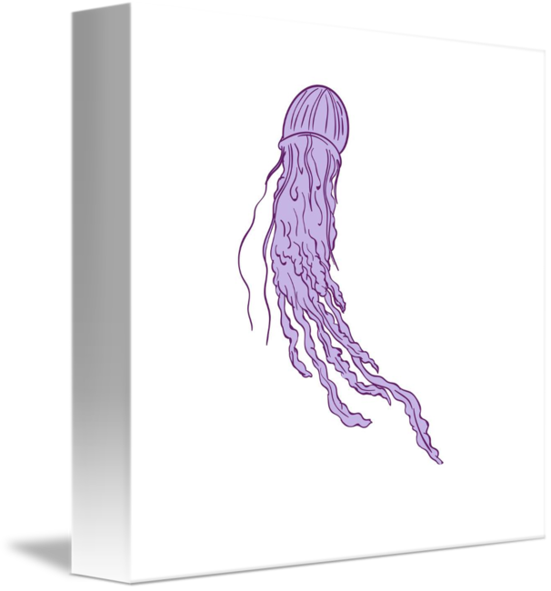 Box Jellyfish Drawing at Explore collection of Box