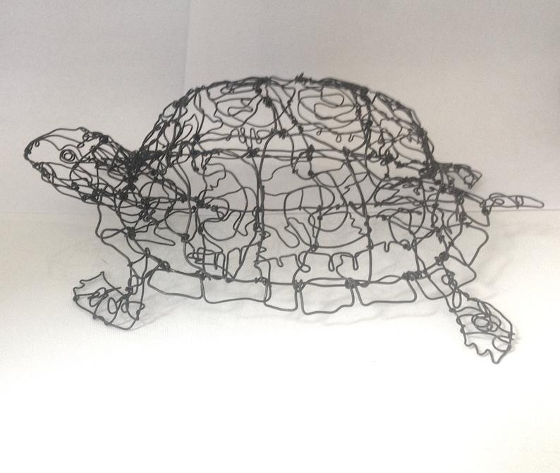 Box Turtle Drawing at PaintingValley.com | Explore collection of Box ...