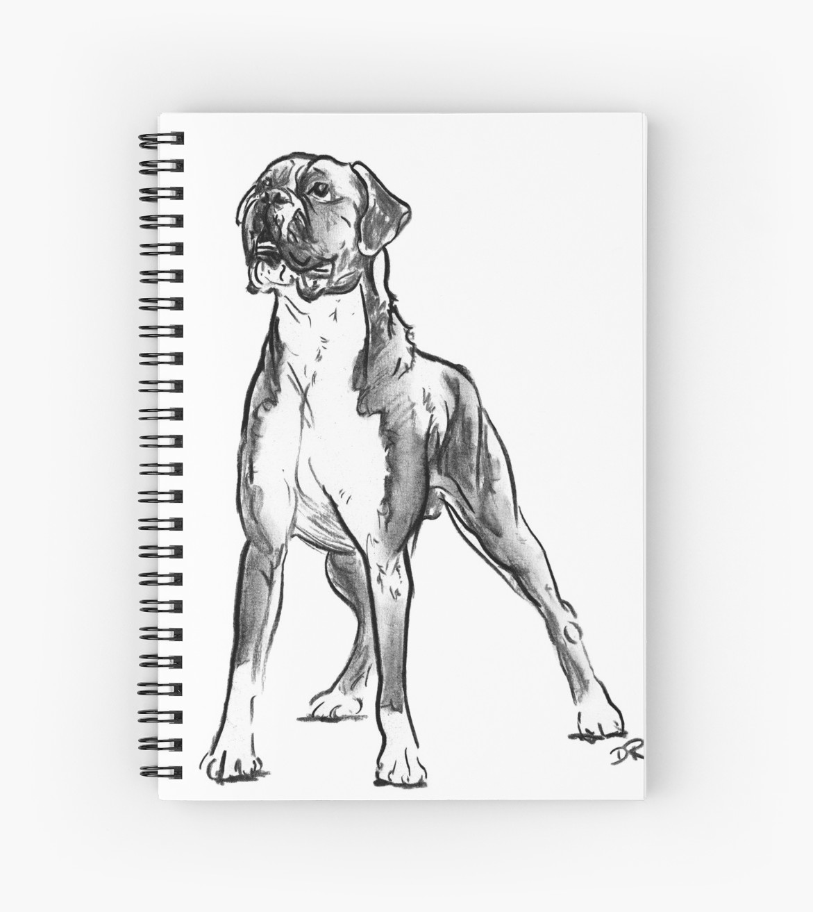 Рисунки собак боксеров карандашом
