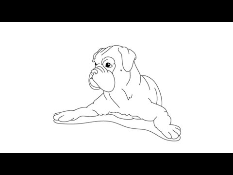 480x360 how to draw a boxer - Boxer Dog Drawing