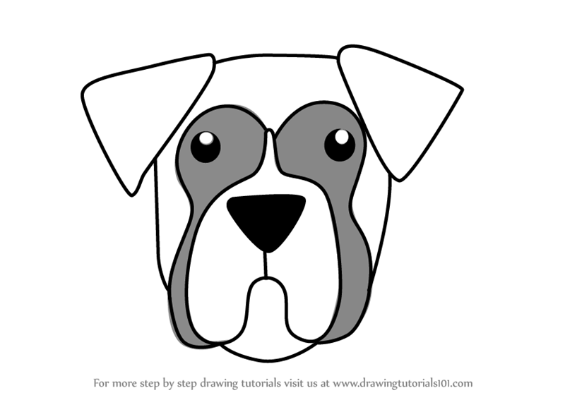 800x567 learn how to draw a boxer dog face for kids - Boxer Dog Drawing