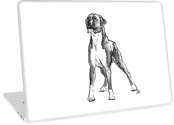 558x400 boxer dog drawing laptop skins - Boxer Dog Line Drawing
