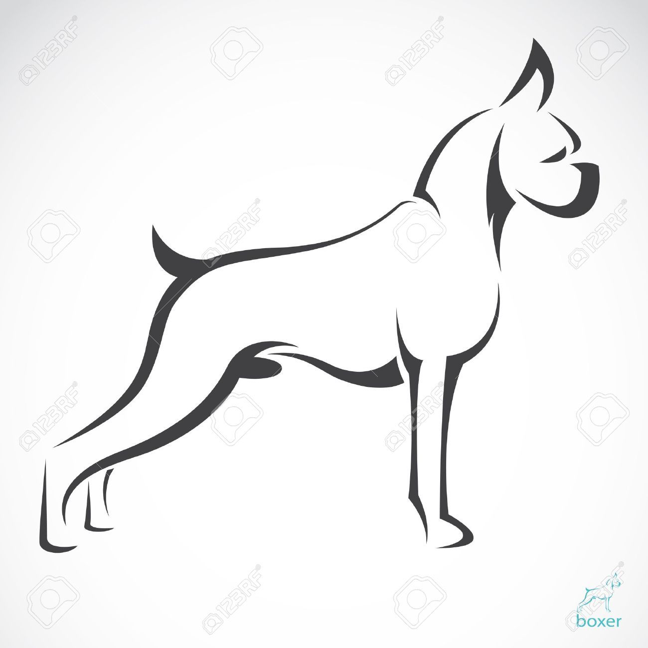 1300x1300 vector image of an dog boxer on white background vinyl boxer - Boxer Dog Line Drawing