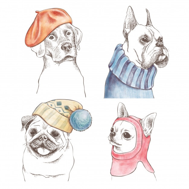 626x626 boxer puppy vectors, photos and free download - Boxer Puppy Drawing