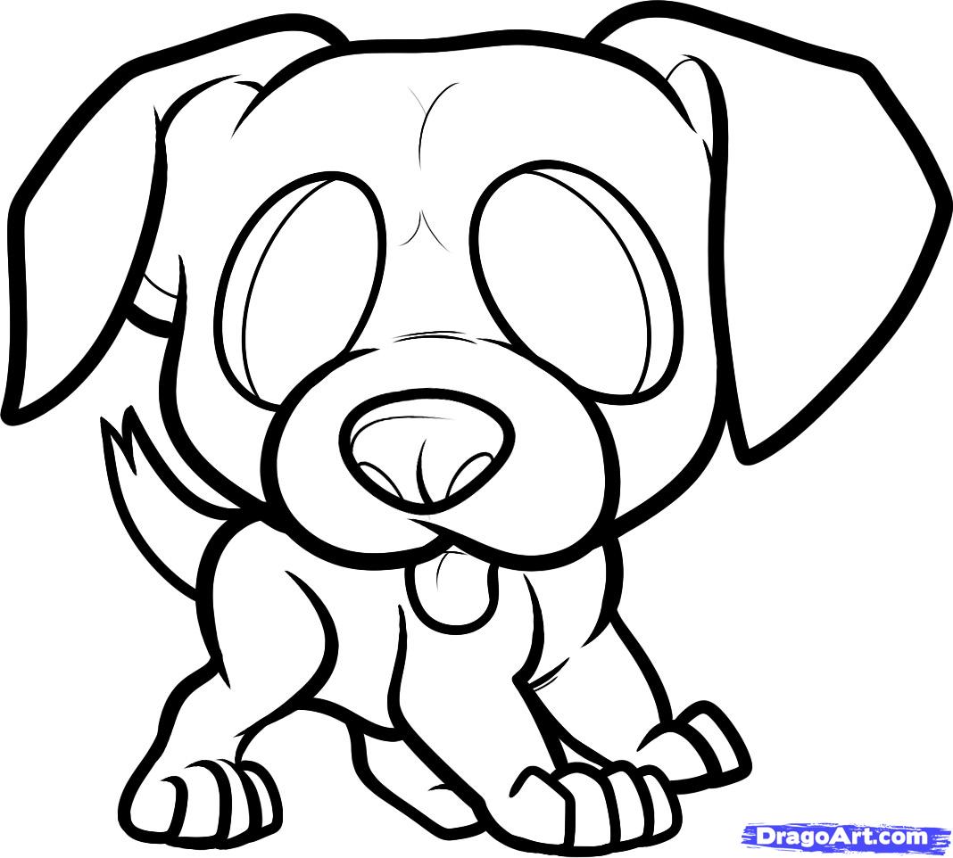 1068x962 how to draw a boxer puppy, boxer puppy, step - Boxer Puppy Drawing
