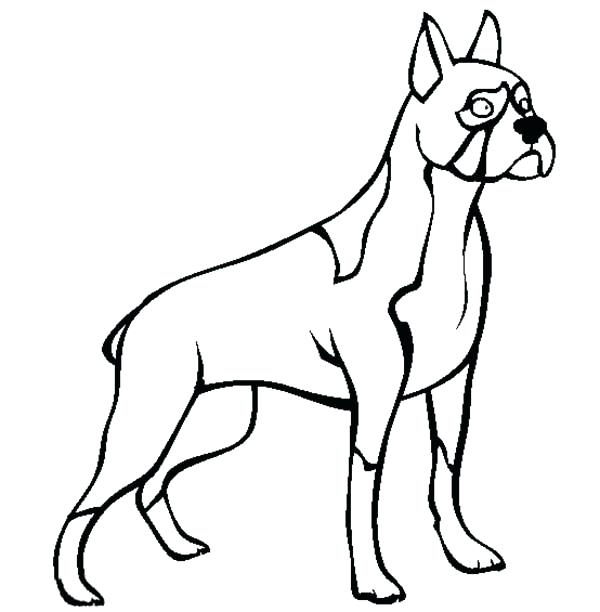 600x612 boxer dog coloring pages cute animal coloring pages to print - Boxer Puppy Drawing