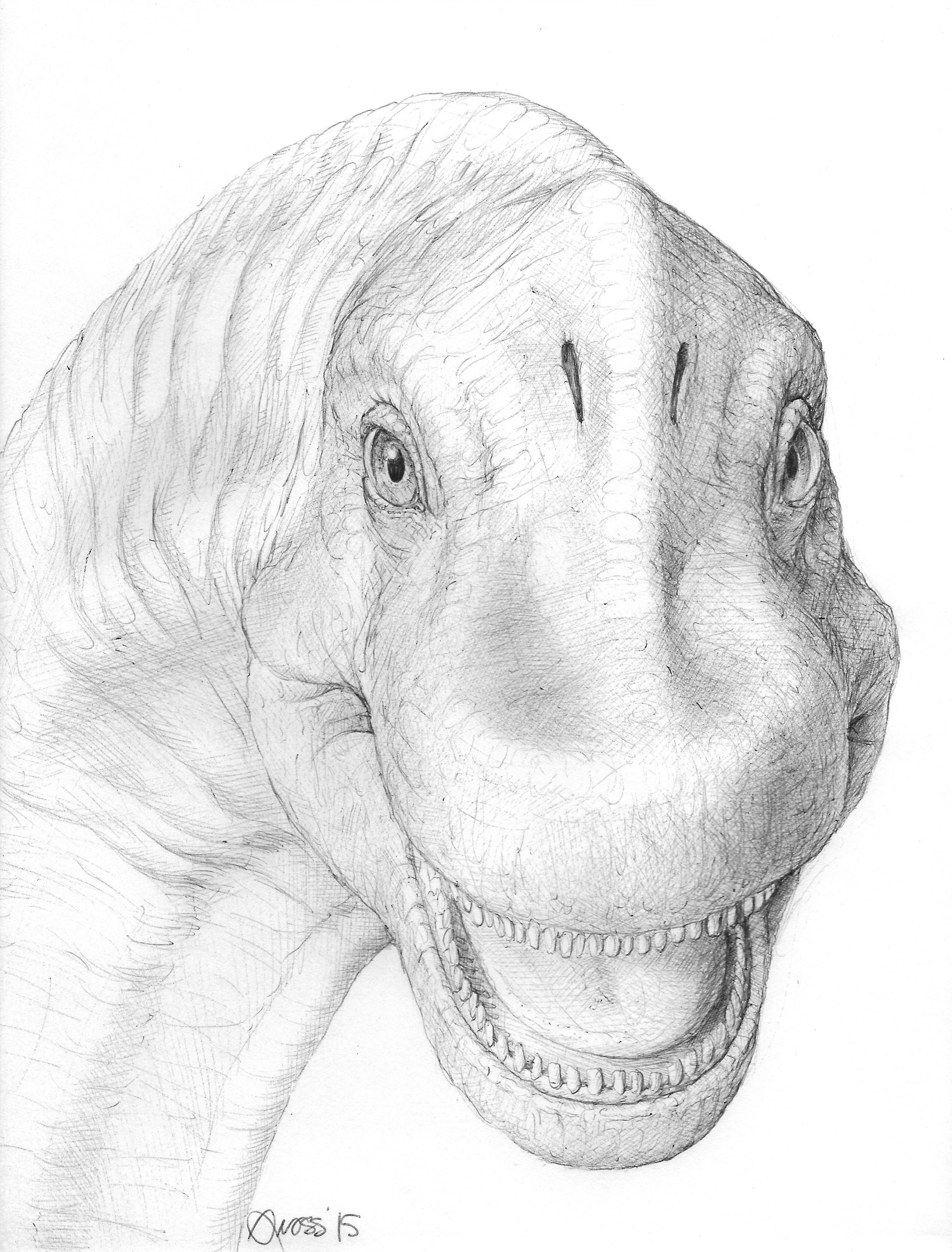 Brachiosaurus Drawing at Explore collection of