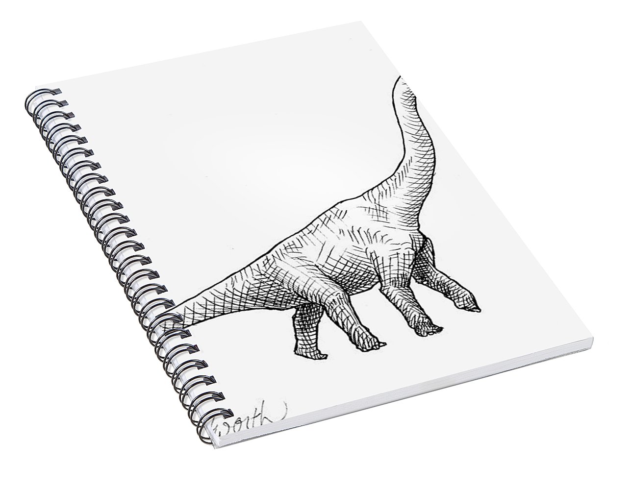 1287x1000 Brachiosaurus Dinosaur Black And White Dino Drawing Spiral - Brachiosaurus Drawing