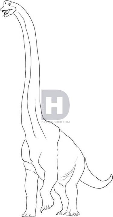 374x720 How To Draw A Brachiosaurus, Step - Brachiosaurus Drawing