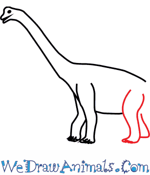 300x350 How To Draw A Brachiosaurus - Brachiosaurus Drawing