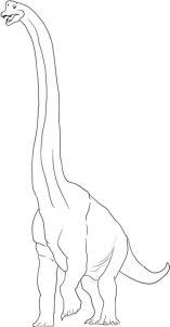 157x302 How To Draw How To Draw A Brachiosaurus Dinosaur - Brachiosaurus Drawing