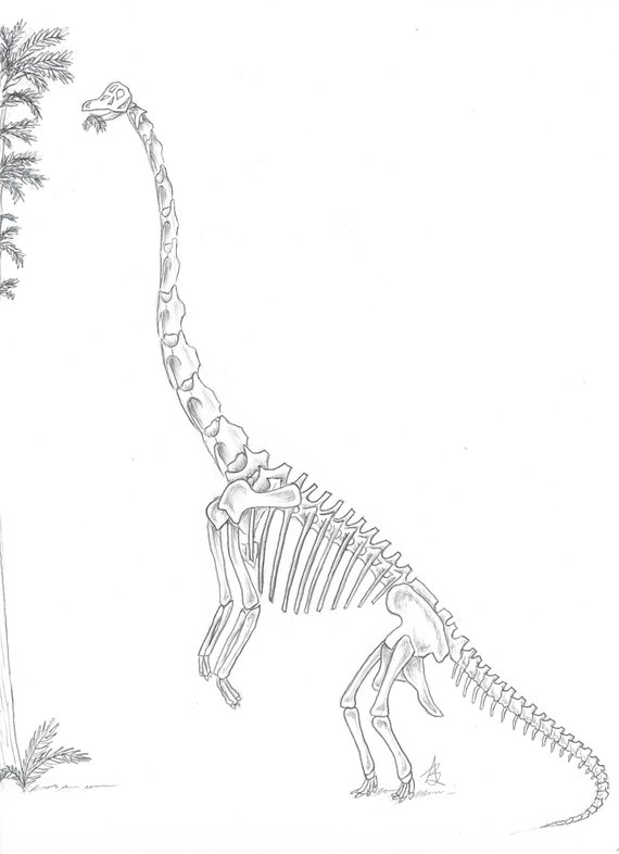 570x786 Items Similar To Brachiosaurus Drawing On Etsy - Brachiosaurus Drawing