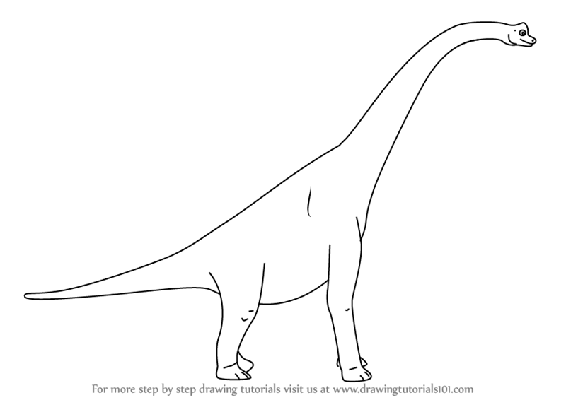800x566 Learn How To Draw Brenda Brachiosaurus From Dinosaur Train - Brachiosaurus Drawing