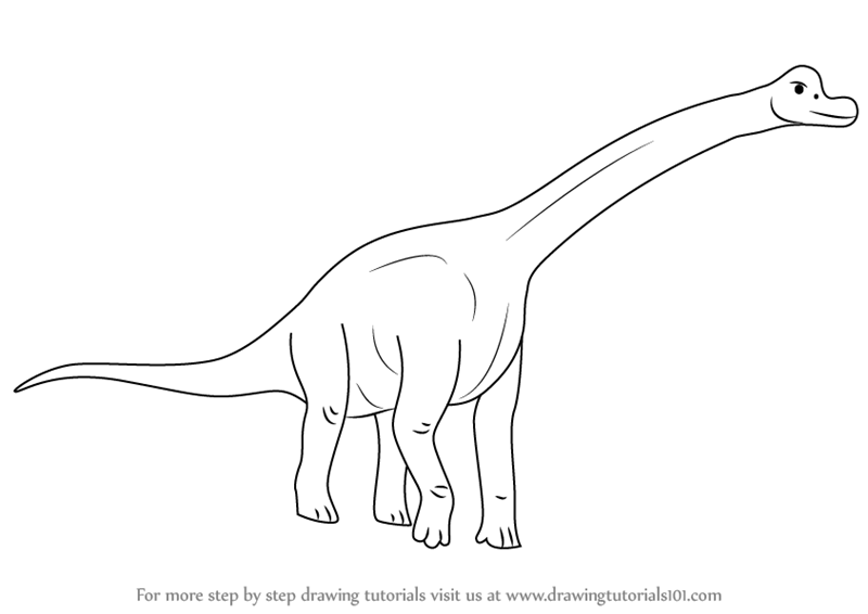 800x566 Learn How To Draw A Brachiosaurus - Brachiosaurus Drawing