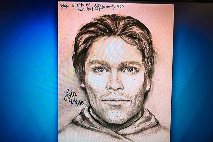 900x600 this stormy daniels suspect sketch looks a lot like tom brady - Brady Drawing